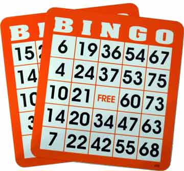 bingo website